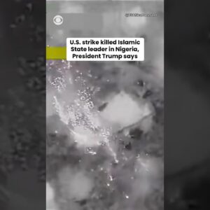 Trump says Nigerian military forces killed leader of Islamic State group #shorts
