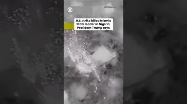 Trump says Nigerian military forces killed leader of Islamic State group #shorts