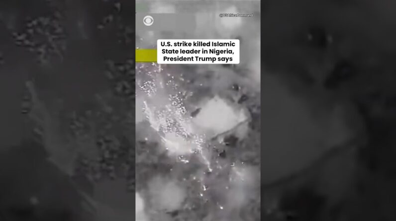 Trump says Nigerian military forces killed leader of Islamic State group #shorts