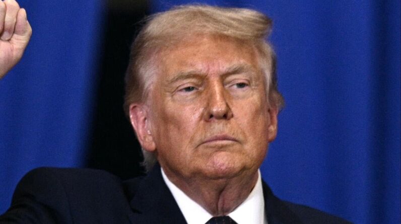 Trump administration working to allow for some asylum rejections without interviews