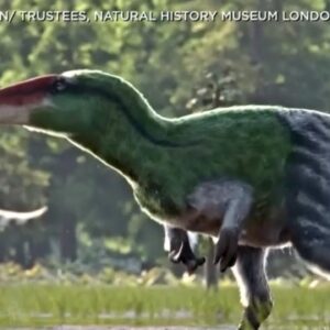Animation depicts newly-discovered dinosaur species