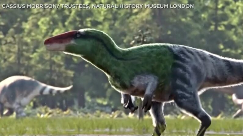 Animation depicts newly-discovered dinosaur species