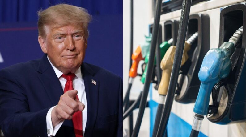 Trump's oil and gas stocks gained millions in value amid Iran war, according to Democrats' report
